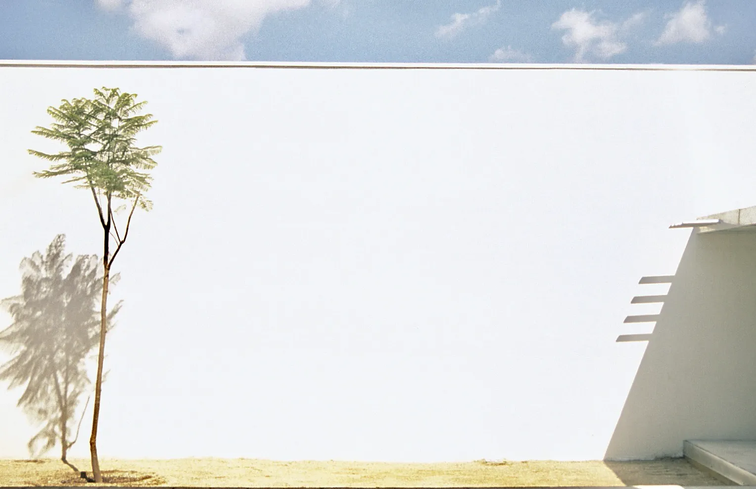 ceip pompeu fabra. Estudi d'arquitectura Ramon Valls