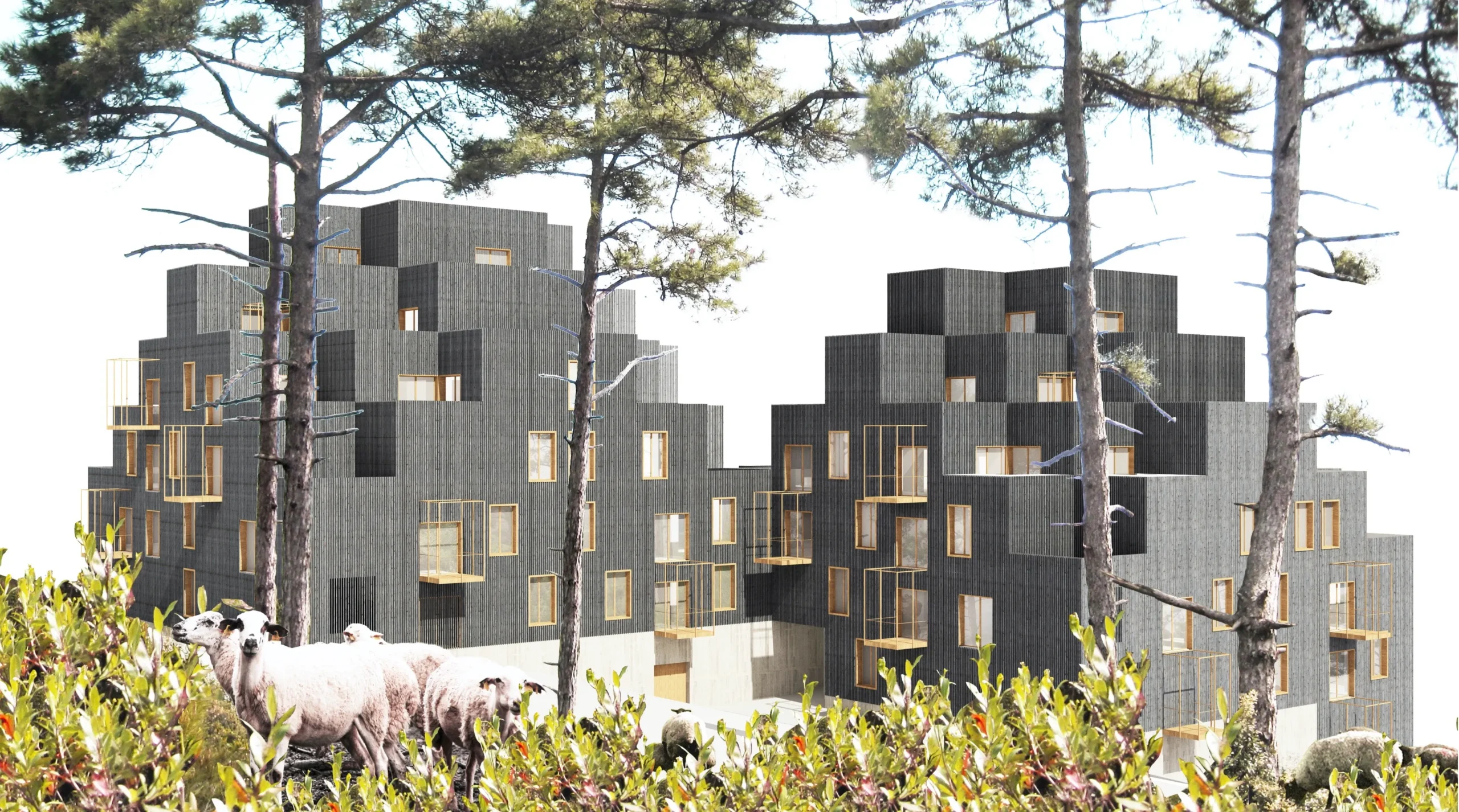 70 habitatges hpo Castelldefels. Estudi d'arquitectura Ramon Valls